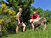 06 Ai pascoli dei Prati Parini (746 m) con giallo maggiociondolo